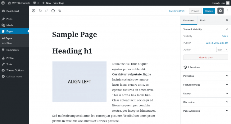 Custom WordPress Themes vs Pre-Made Themes